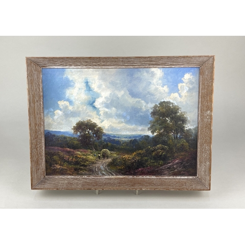 335 - Douglas Falconer, 'Surrey landscape, near Dorking, England', oil on board, signed, verso inscribed p... 