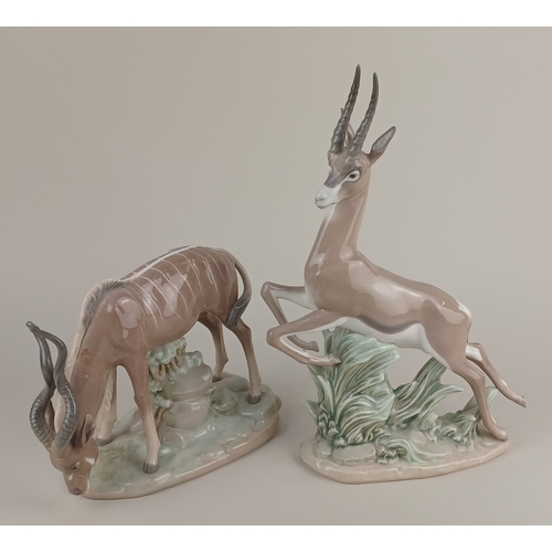 5 - A Lladro porcelain model of a gazelle 33cm, and an antelope 16cm (a/f)... 