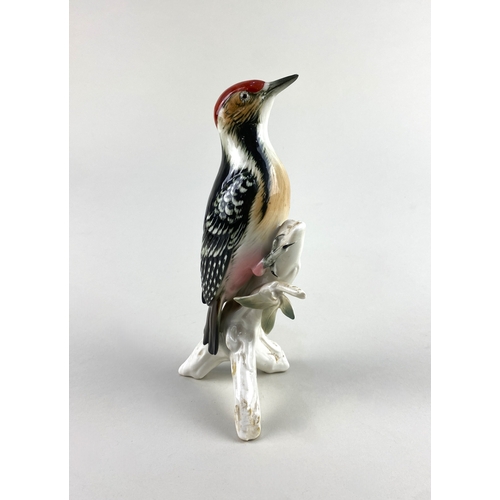 105 - A Karl Ens porcelain model of a woodpecker 24cm