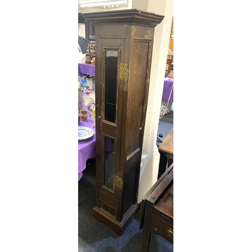 576 - A late 19th / early 20th century tall narrow glazed oak cabinet, either originally intended for or l... 