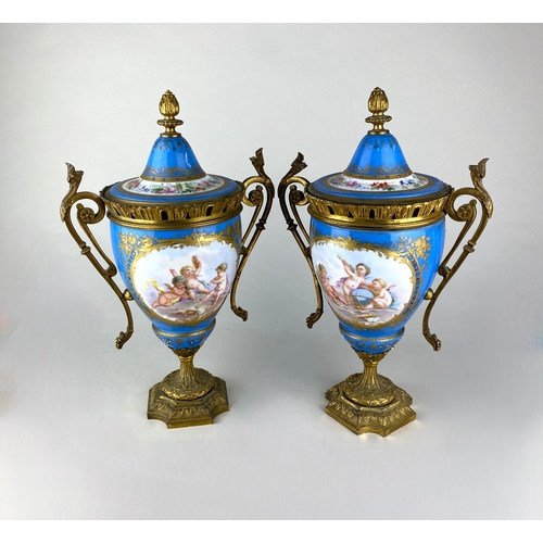 463 - A pair of 19th century Sevres style ormolu mounted two handled vases and covers, decorated with pane... 