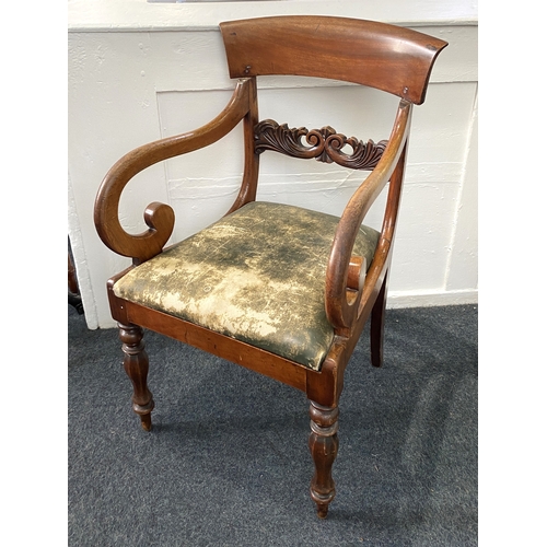 818 - A Regency carver dining chair with carved scroll bar back and drop in seat