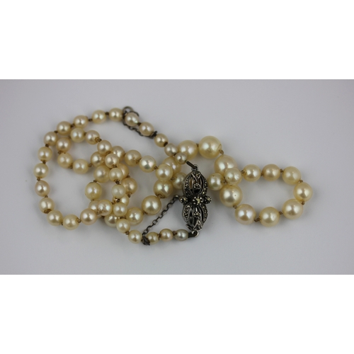 137 - A single row necklace of graduated cultured pearls on a marcasite clasp