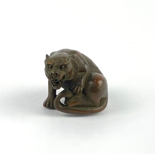 41 - A Japanese carved netsuke in the form of a snarling tiger, 3.5cm high, 4.25cm wide... 