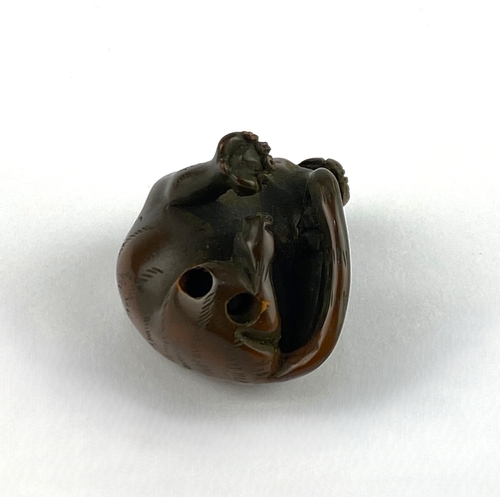 41 - A Japanese carved netsuke in the form of a snarling tiger, 3.5cm high, 4.25cm wide... 