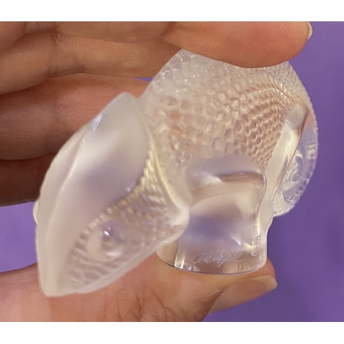 44 - A small Lalique model of a chameleon 4.5cm high