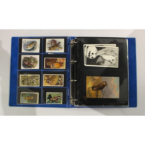 176 - Postcards & Ephemera: A collection of postcards, collectors cards and cigarette cards, late 19th... 