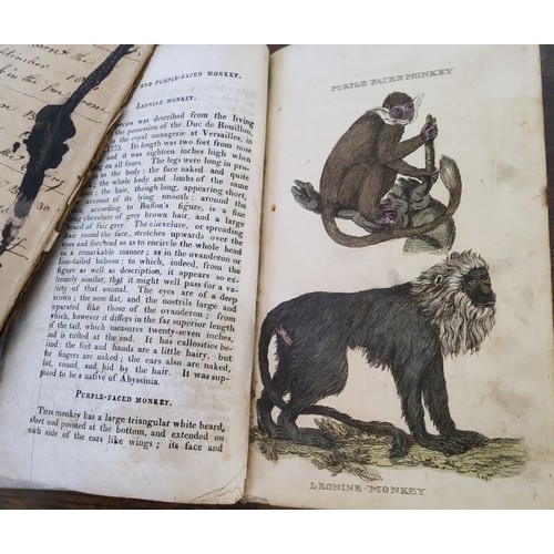 31 - Natural History Books- A George III book on the animal kingdom 'The Natural History of Quadrupeds, a... 