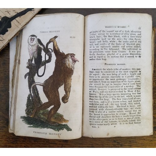 31 - Natural History Books- A George III book on the animal kingdom 'The Natural History of Quadrupeds, a... 