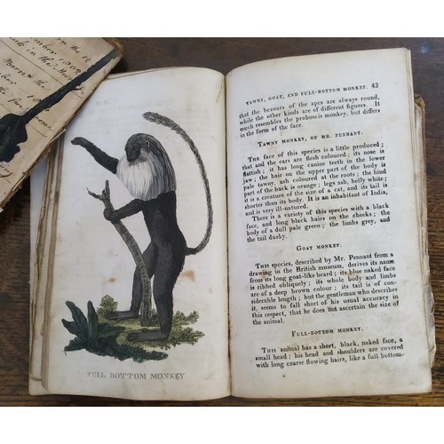 31 - Natural History Books- A George III book on the animal kingdom 'The Natural History of Quadrupeds, a... 