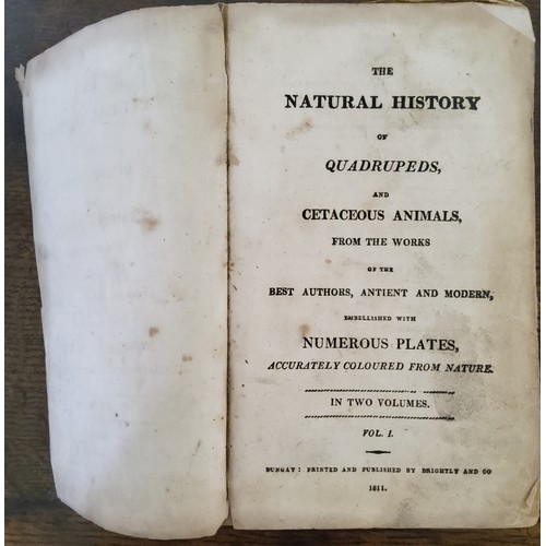 31 - Natural History Books- A George III book on the animal kingdom 'The Natural History of Quadrupeds, a... 