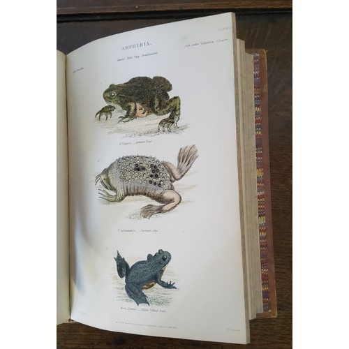 32 - Natural History Books - Two volumes, ' The Museum of Natural History ' by Sir John Richardson, ... 