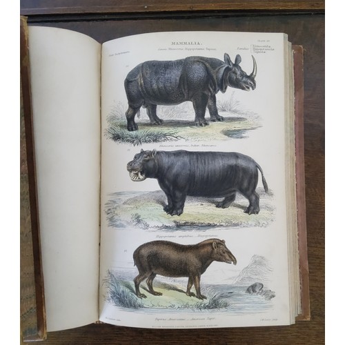 32 - Natural History Books - Two volumes, ' The Museum of Natural History ' by Sir John Richardson, ... 