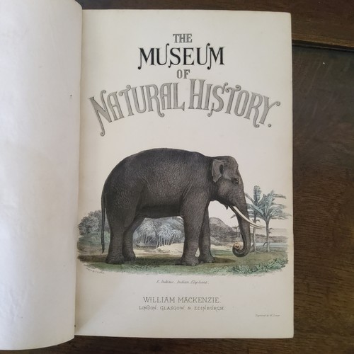 32 - Natural History Books - Two volumes, ' The Museum of Natural History ' by Sir John Richardson, ... 