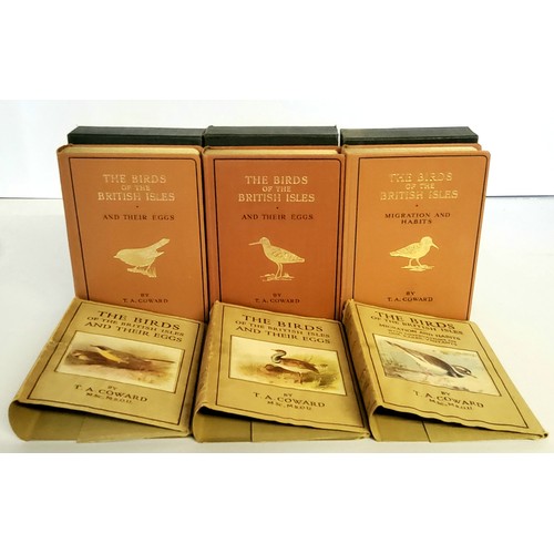 34 - Natural History Books - T.A.Coward, The Birds of the British Isles and Their Eggs, series I through ... 