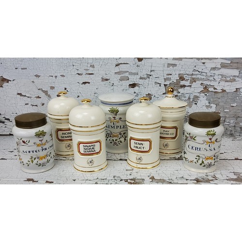 126 - Apothecary - Interior Design - various decorative specimen jars