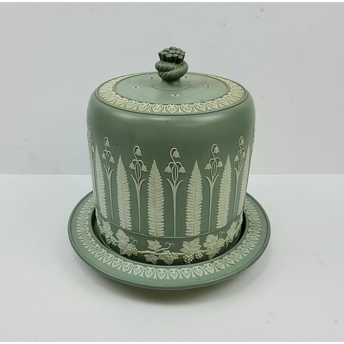 295 - A Wedgwood type cheese dome decorated with elongated fern and snow drop sprigs on base