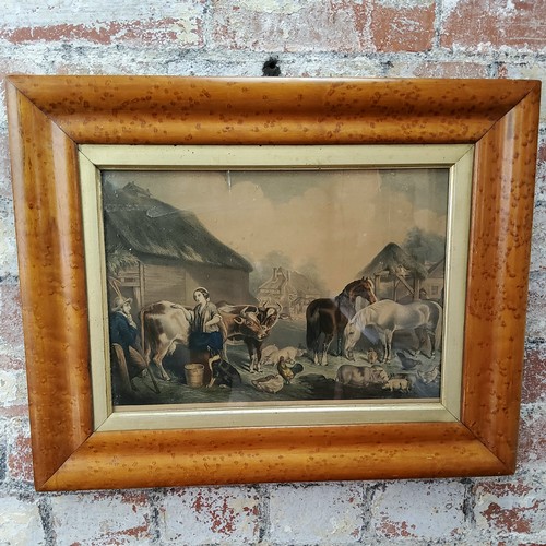 395 - A decorative mid Victorian birds eye maple frame, housing 19th century Dutch farmyard lithograph pub... 