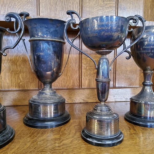 27 - Local Interest - Pigeon Racing - seven large silver plated trophies for the Brampton Homing Society,... 