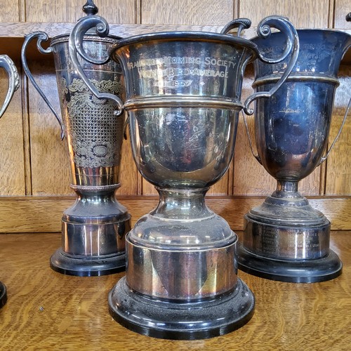 27 - Local Interest - Pigeon Racing - seven large silver plated trophies for the Brampton Homing Society,... 