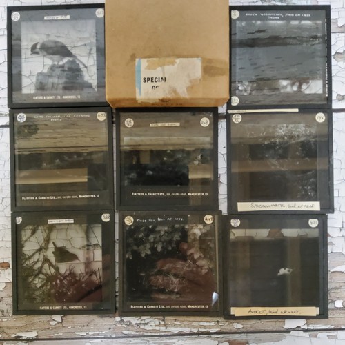 45 - Magic Lantern slides including 23 wild bird slides some colour c.1922 J. Armitage Flatter, boxed; ot... 