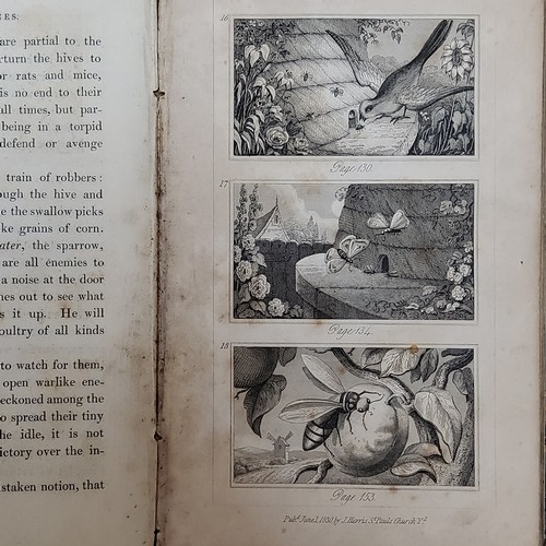 18 - Savage Club Papers for 1868, edited by Andrew Halliday, Tinsley Brothers, 1868; The Story of the Lon... 