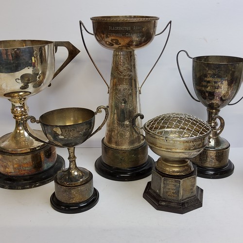 88 - Pigeon Racing Interest - Local Interest - Chesterfield and District Pigeon Racing trophies, various ... 