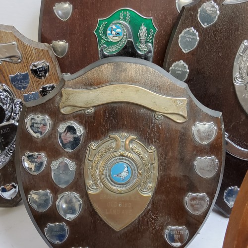 93 - Pigeon Racing Interest - various shield shaped trophies including Brampton Homing Society trophies, ... 