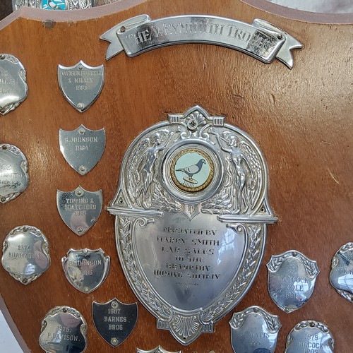 93 - Pigeon Racing Interest - various shield shaped trophies including Brampton Homing Society trophies, ... 