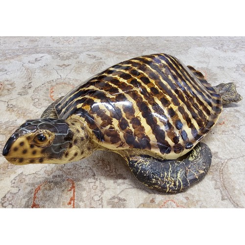 92 - Interior Design - A realistic life-sized Hawksbill turtle, hand painted fibre glass, 85cm in length