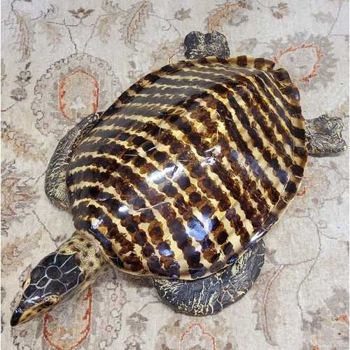 92 - Interior Design - A realistic life-sized Hawksbill turtle, hand painted fibre glass, 85cm in length