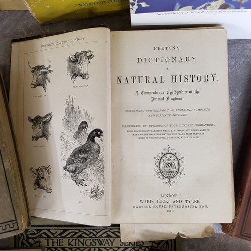 20 - Books - Natural History - Beeton's Dictionary of Natural History; A Field Guide to the Birds of Brit... 