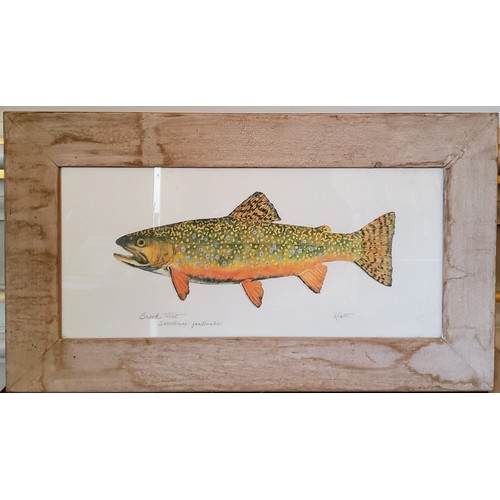 141 - After Eileen Klatt, Brook Trout (Salvelinus fontinalis) from Cocalalla Creek, Idaho, 24.5 x 55c... 