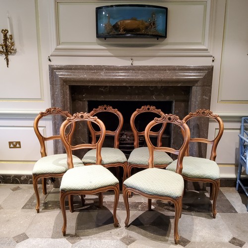 260 - A suite of six Louis XVI style balloon back parlour chairs