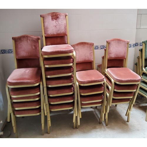 261 - Conference Stacking Chairs - a very large quantity of 50+ function room chairs with gilded metal fra... 