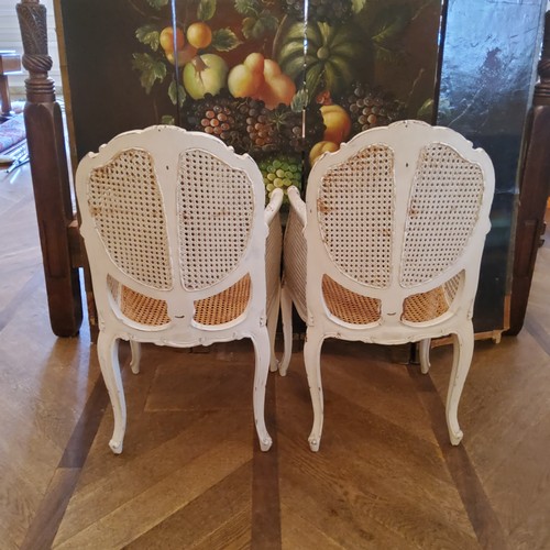 262 - A pair of Louis XVI style French bergere boudoir tub chairs, slender cabriole legs