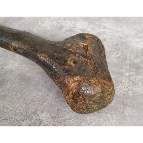 56 - An Irish blackthorn Shillelagh / club with three leaf clover details, 48cm in length