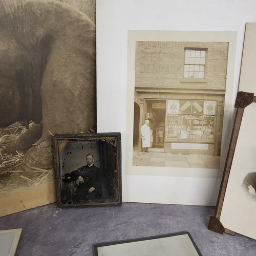 60 - Photography -a large silver gelatin sepia photograph of Zimbabwean big game; Victorian ambrotype por... 