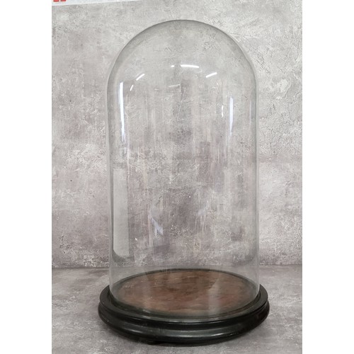 144 - A Victorian glass dome on stand 41cm high, excellent condition.