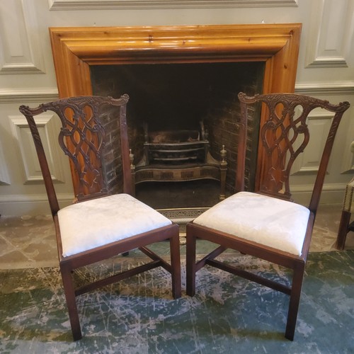 236 - A good pair of early 20th century Chippendale Revival hall chairs, profusely carved stylised interlo... 