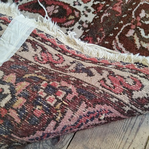 252 - A large early 20th century hand knotted Middle Eastern / Caucasian rectangular carpet, bold paisley ... 