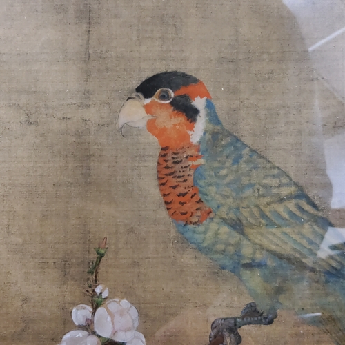 7 - After Emperor Huizong of Song (1082-1135) 'Parakeet perched on an apricot tree', framed 52cm x 69cm