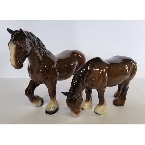 152 - A Beswick Bay Shire, foreleg raised; another grazing