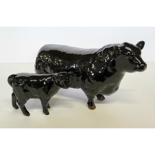 153 - Beswick Aberdeen Angus bull, 'Approved by the Aberdeen Angus Society' and calf