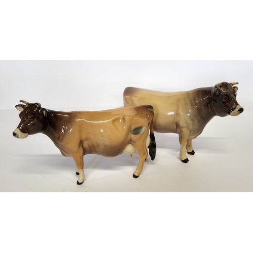 154 - Beswick Jersey bull, CH Dunsley Coyboy; a Jesery cow, CH Newton Tinkle (2)