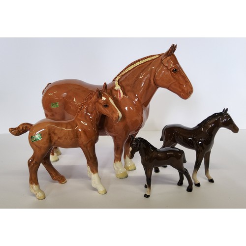 158 - A Beswick Chestnut shire horse, CH Hasse Dainty (af); a Chestnut shire foal; two bay foals (4)