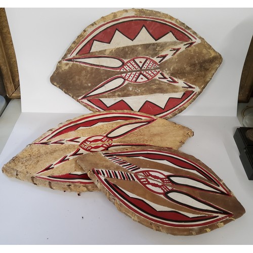 95 - Maasai warrior painted cow hide shields