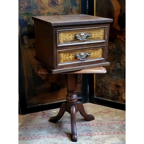 27 - An Edwardian Sheraton Revival collector's chest of two satinwood inlaid panelled drawers; a small Vi... 