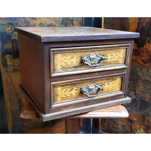 27 - An Edwardian Sheraton Revival collector's chest of two satinwood inlaid panelled drawers; a small Vi... 