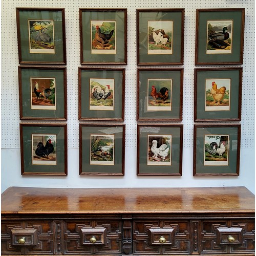 21 - An impressive set of twelve Victorian farmhouse kitchen chromolithography poultry related framed boo... 